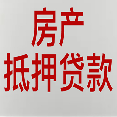 新抚贷款公司新渝启服推荐选择